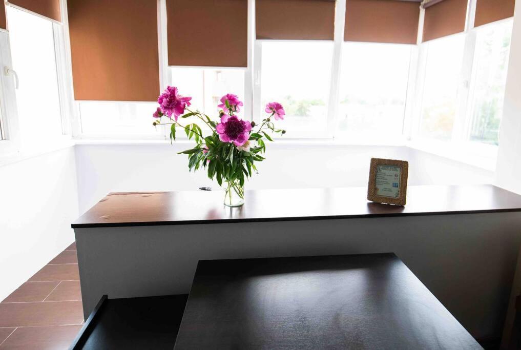 Apartament Timisoara Apartment Bagian luar foto