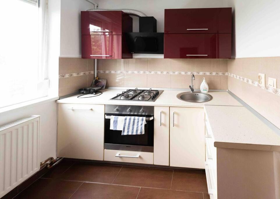 Apartament Timisoara Apartment Bagian luar foto