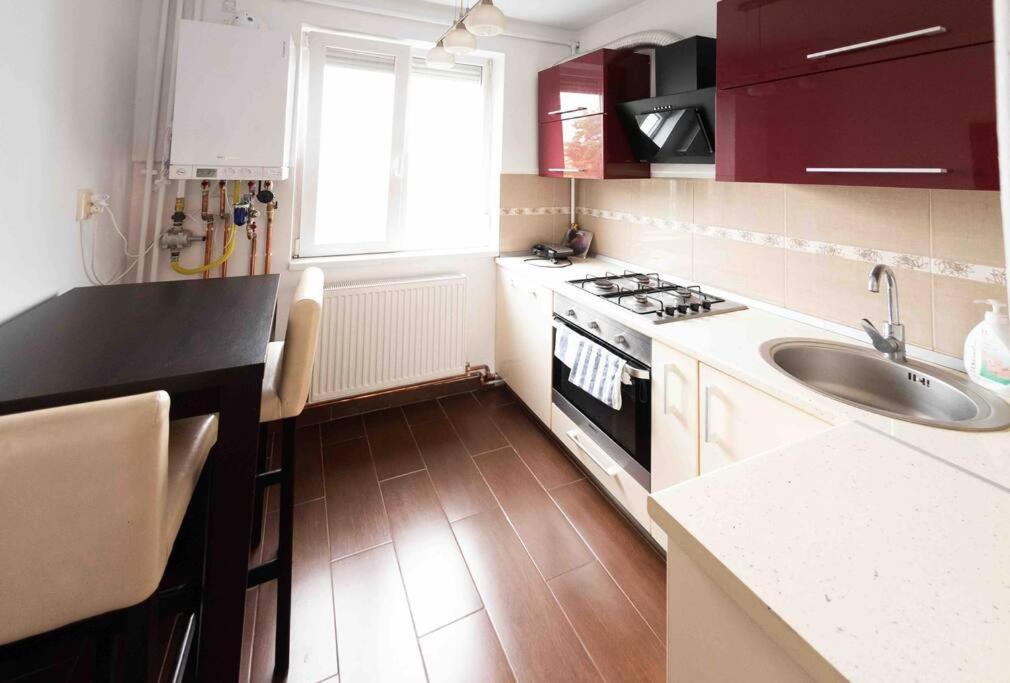 Apartament Timisoara Apartment Bagian luar foto