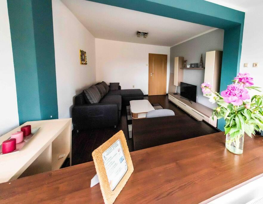 Apartament Timisoara Apartment Bagian luar foto